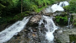 South India Tour Packages-3Night 4Days -Coorg,Iruppu Falls Package ( 3N Coorg)-6