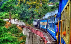 South India Tour Packages-4Night 5Days -Coorg & Ooty Package (2 N Coorg / 2N Ooty)-11