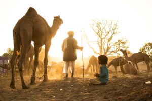 Rajasthan Tour Package -3N 4D - 2N Ranthambore | 1N Pushkar- RJ006