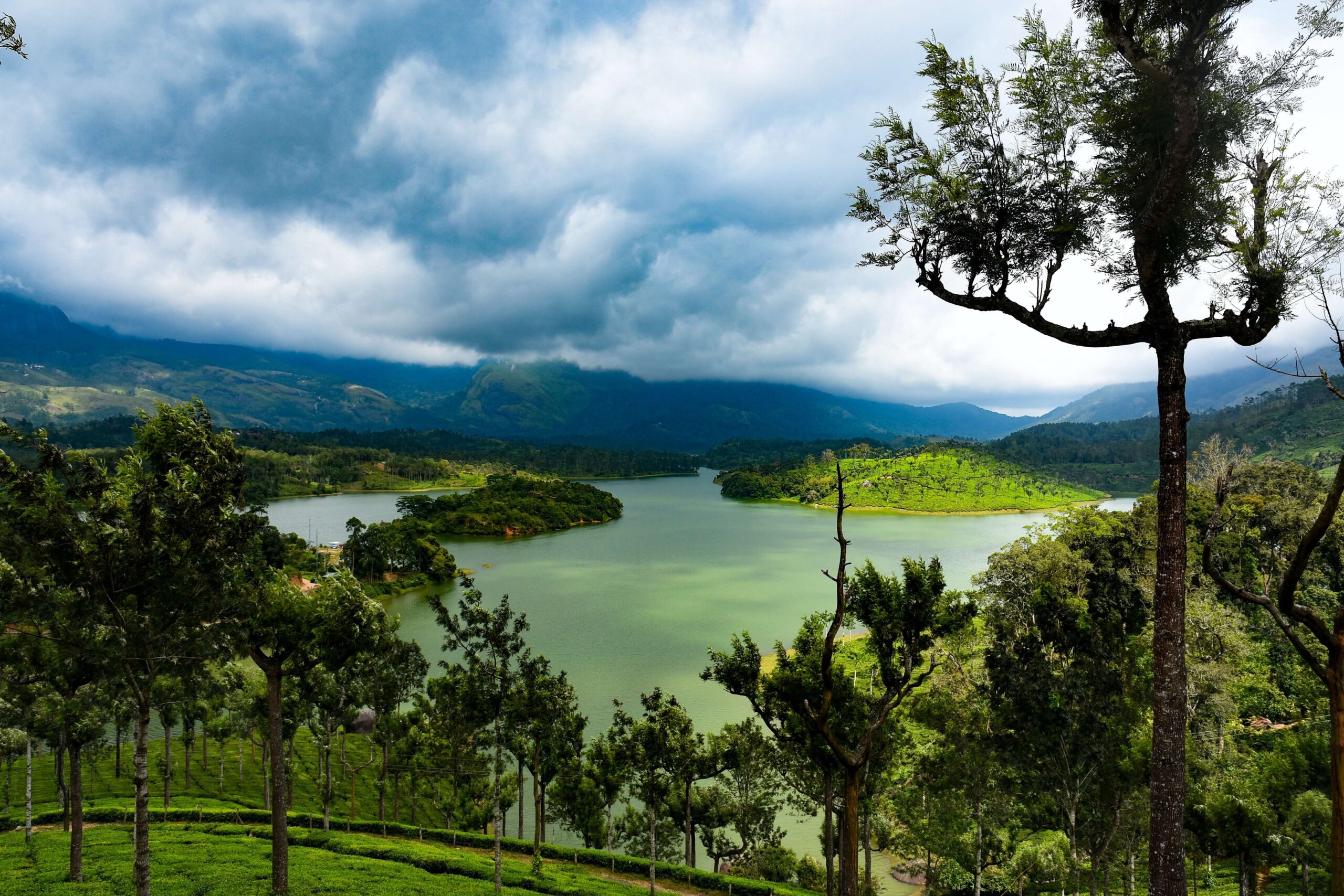 Kerala Tour Package -3N 4D - 2N Munnar | 1N  Alleppey- KA004